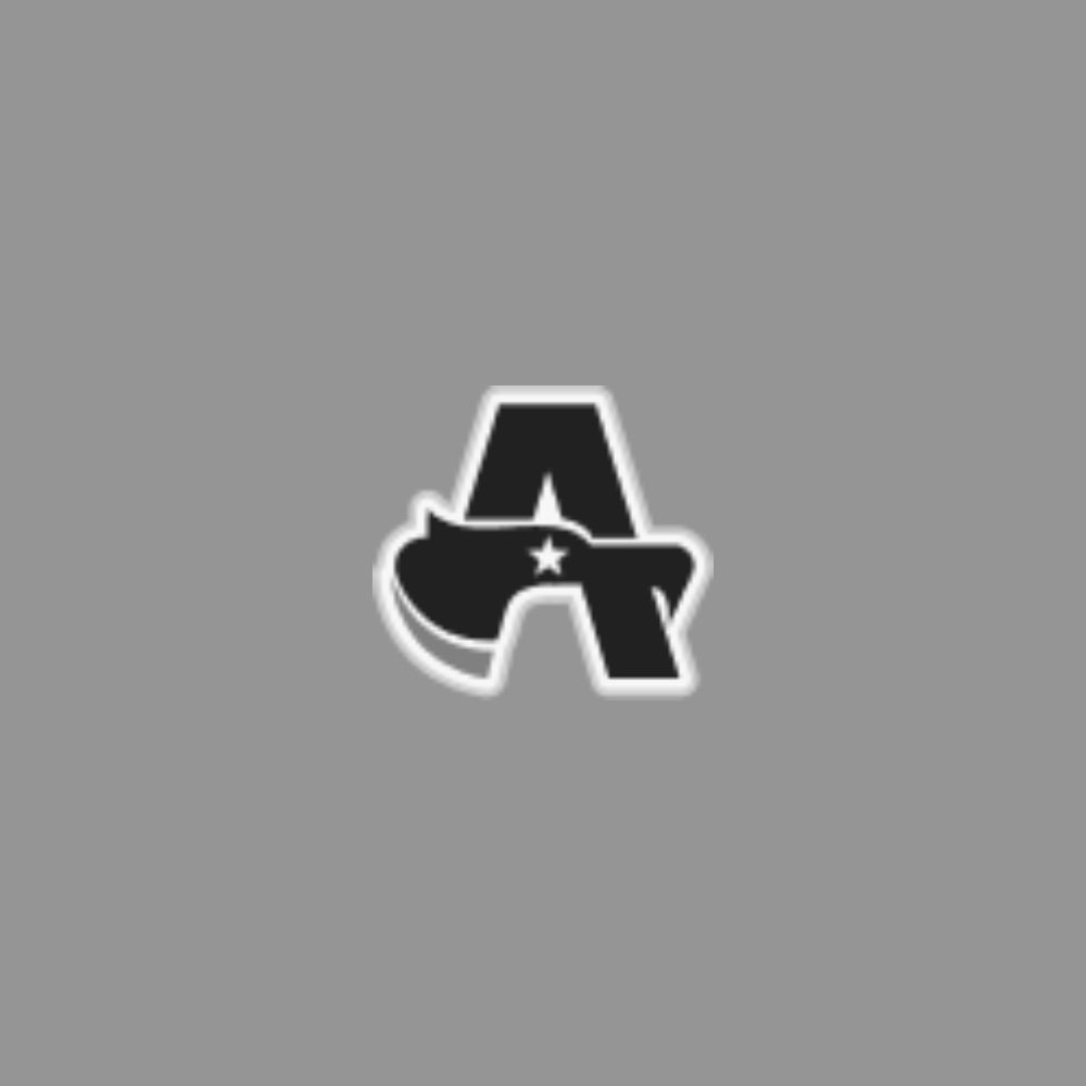 Disposable  Masks