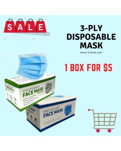 3-PLY Disposable Mask
